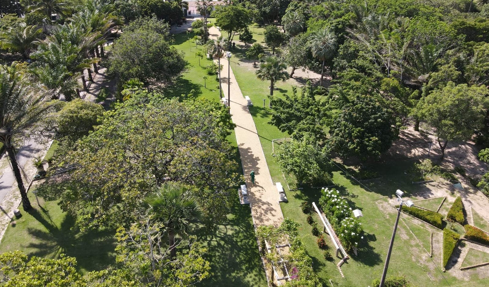 foto aérea do parque passaré